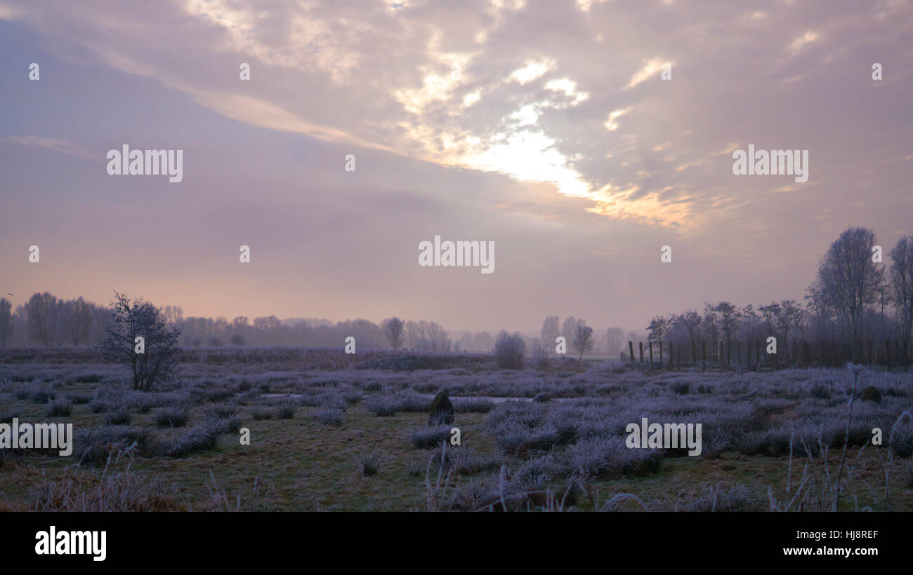 Kalter Winteruntergang über dem Park in den Niederlanden, Cronesteyn Stockfoto