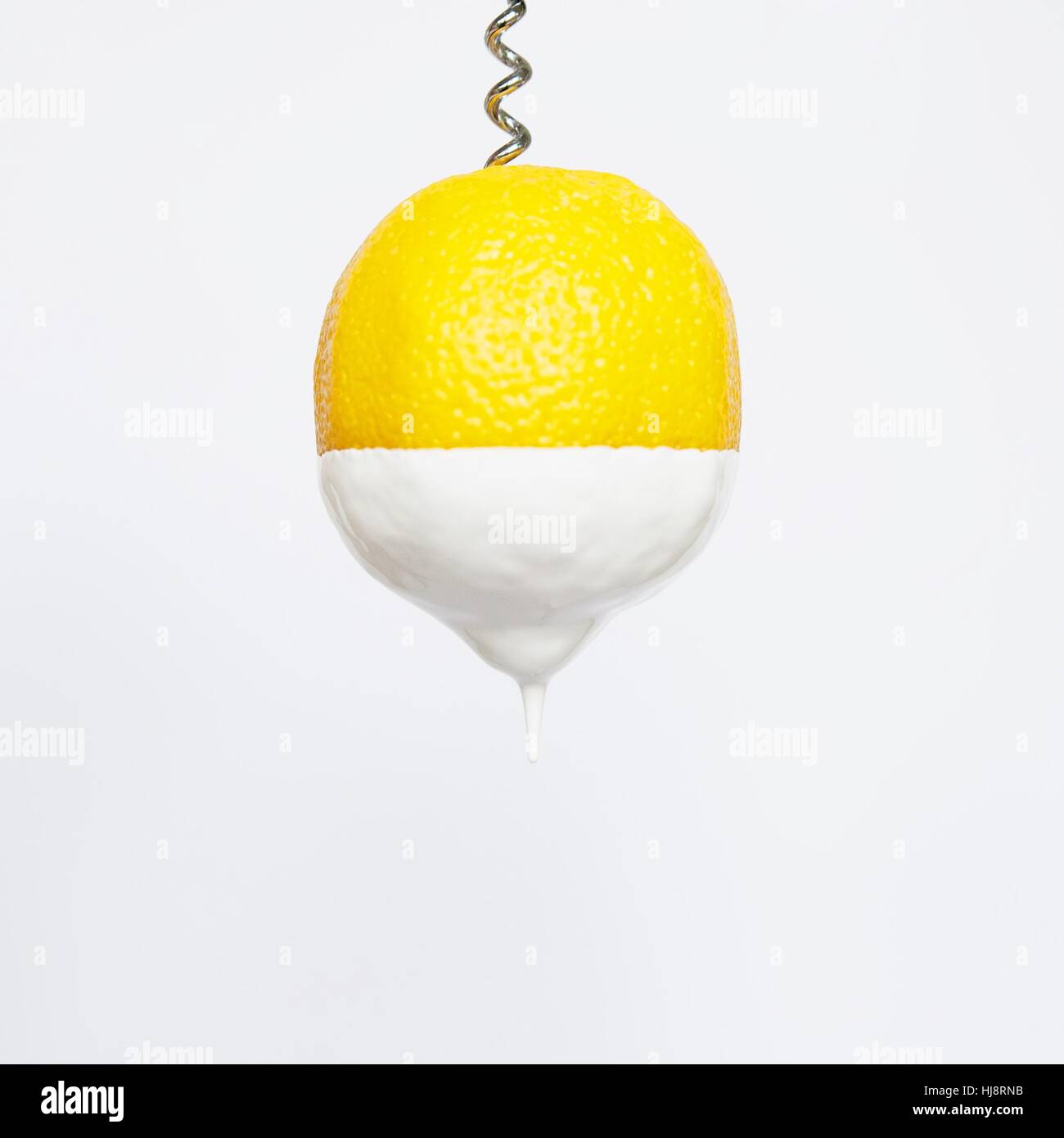 Zitrone, eingetaucht in Creme auf einem Korkenzieher Stockfoto