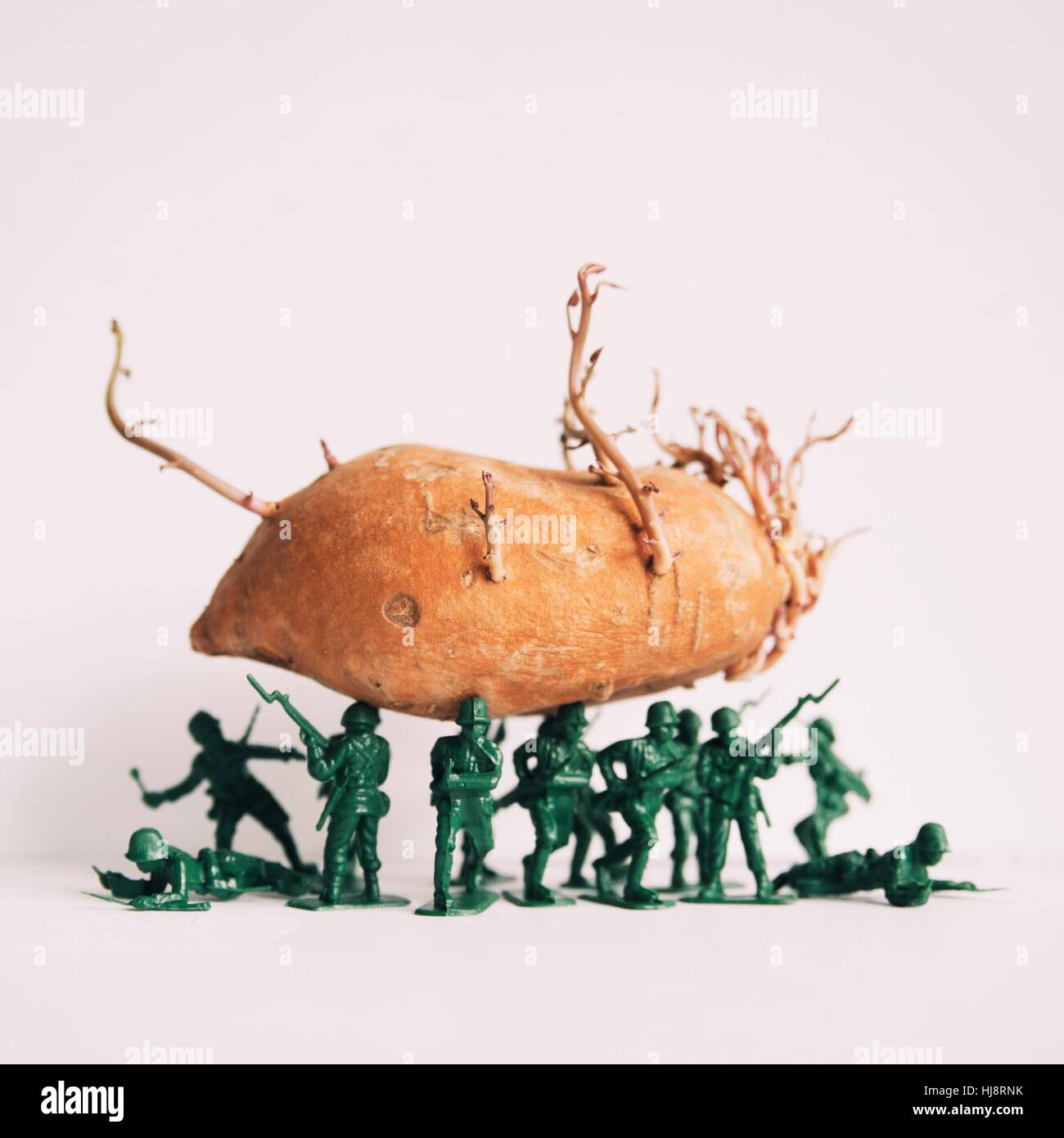 Spielfiguren Soldat hält eine Süßkartoffel Stockfoto