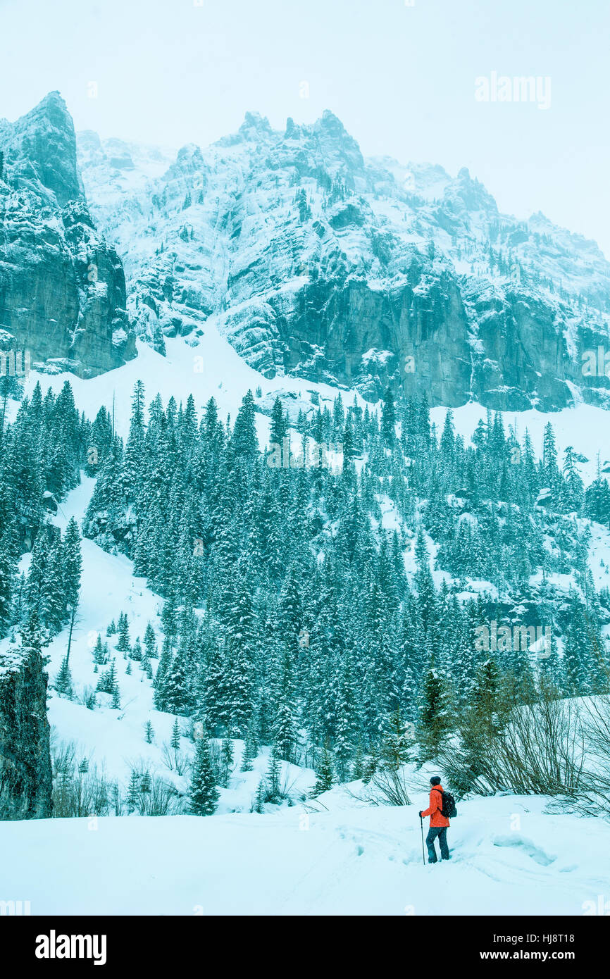 Mann Wandern in den Bergen, Telluride, Colorado, USA Stockfoto