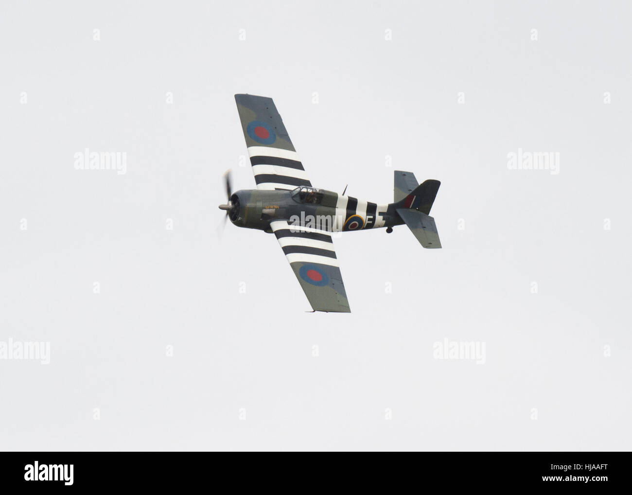 Grumman FM2 Wildcat Kampfflugzeuge bei einem Überflug zu Ehren ehemaliger Testpilot Eric "Winkle" Brown am an RNAS Yeovil. Stockfoto