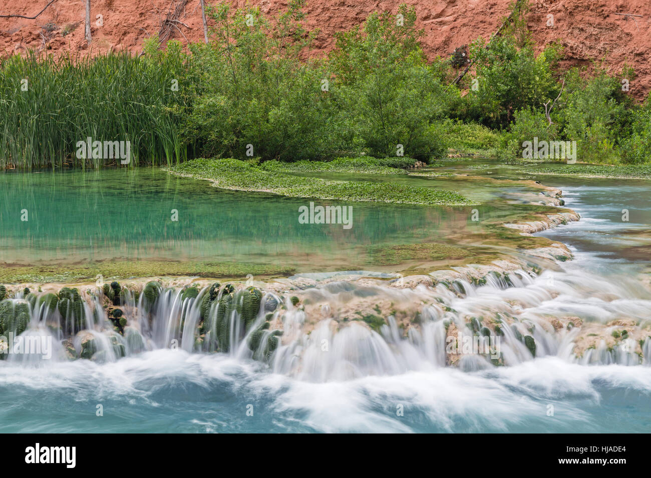 Das kristallklare türkisfarbene Wasser des Havasu Creek fließen aus einem reflektierenden Pool über Travertin Terrassen im Havasupai Indian Reservation, Arizona. Stockfoto