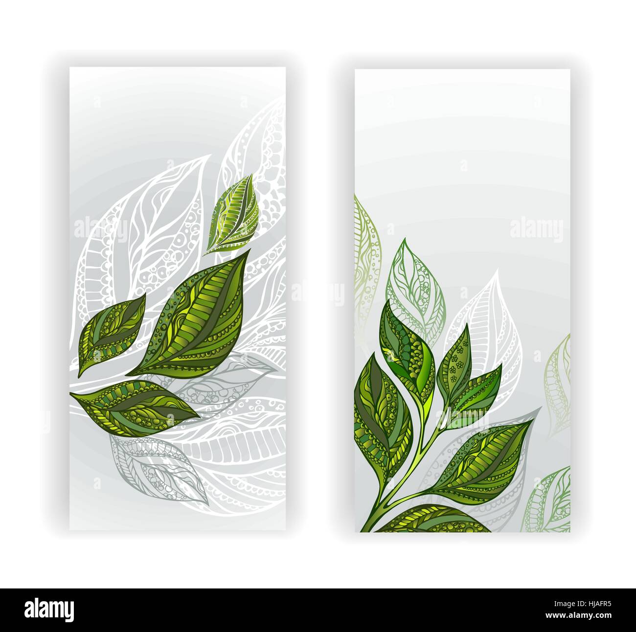 Zwei Banner mit gemusterten, grün, grau-weißer Tee Blätter und Sprossen. Tee-Design. Stock Vektor