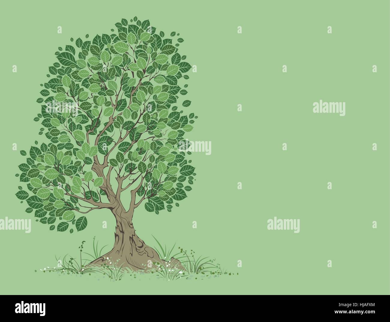 Vektor-kunstvoll bemalten Baum mit grünen Blättern auf einem grünen Hintergrund. Stock Vektor