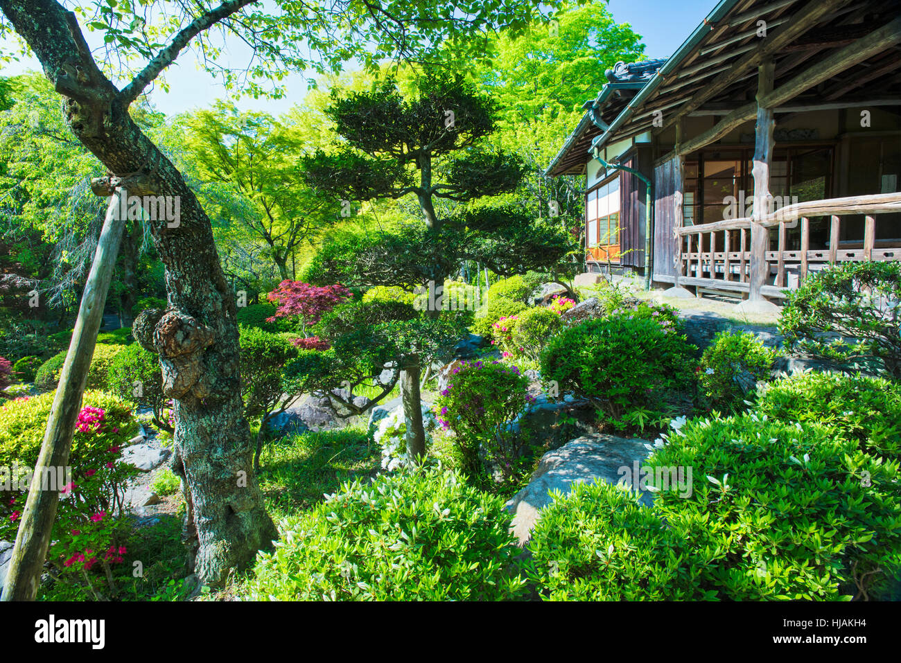 Eine traditionelle japanische Teegarten und Haus, einerchashitsu, in der Nähe von Tokio in Japan Stockfoto
