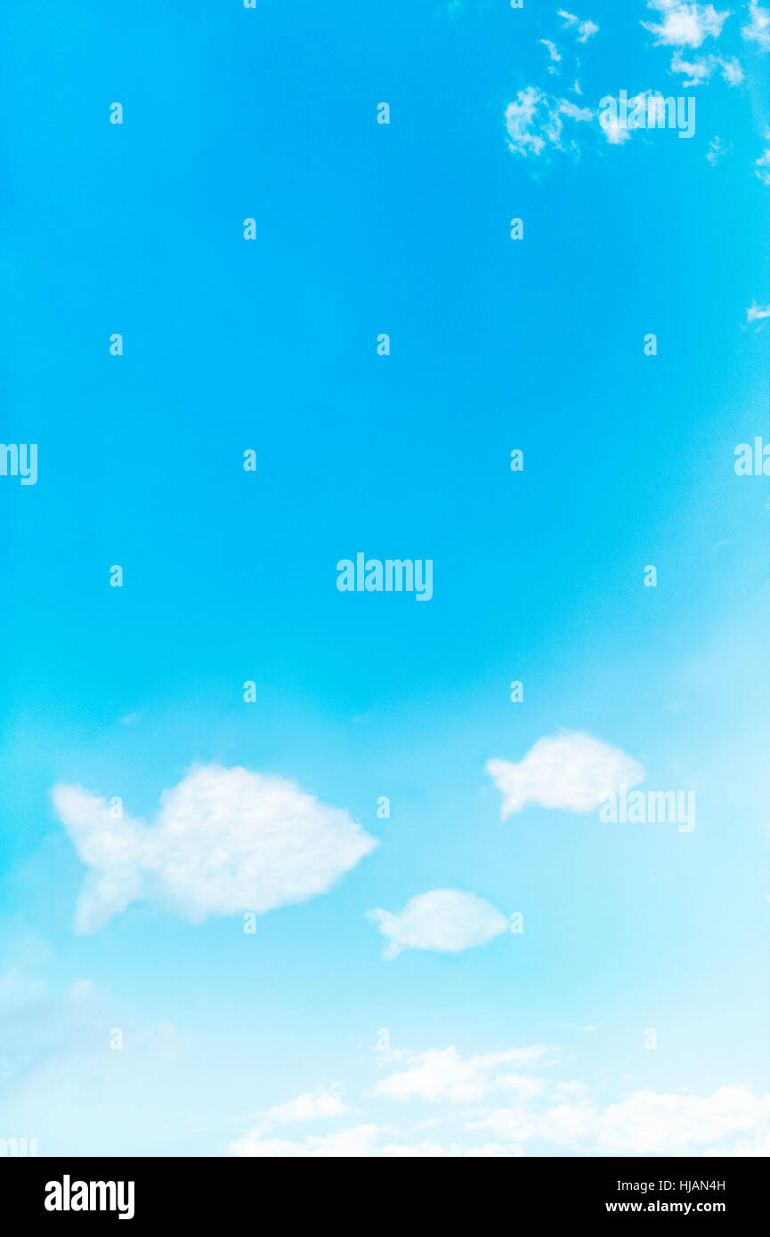 Fisch-Shapes auf einem sonnigen blauen Himmel. Stockfoto