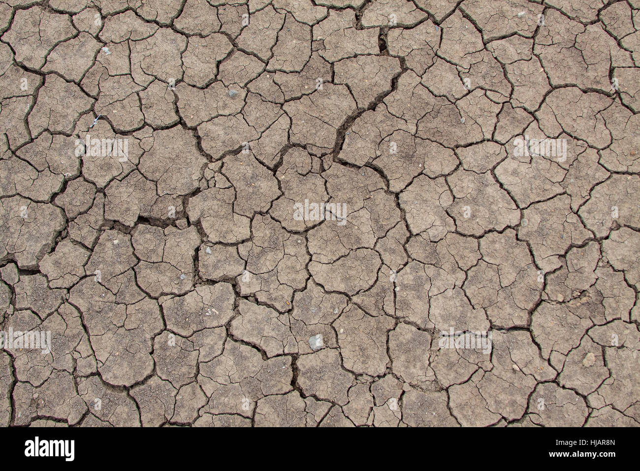 Gebrochene Overlay not Dirty Korn Hintergrund Textur Boden Dürre Stockfoto