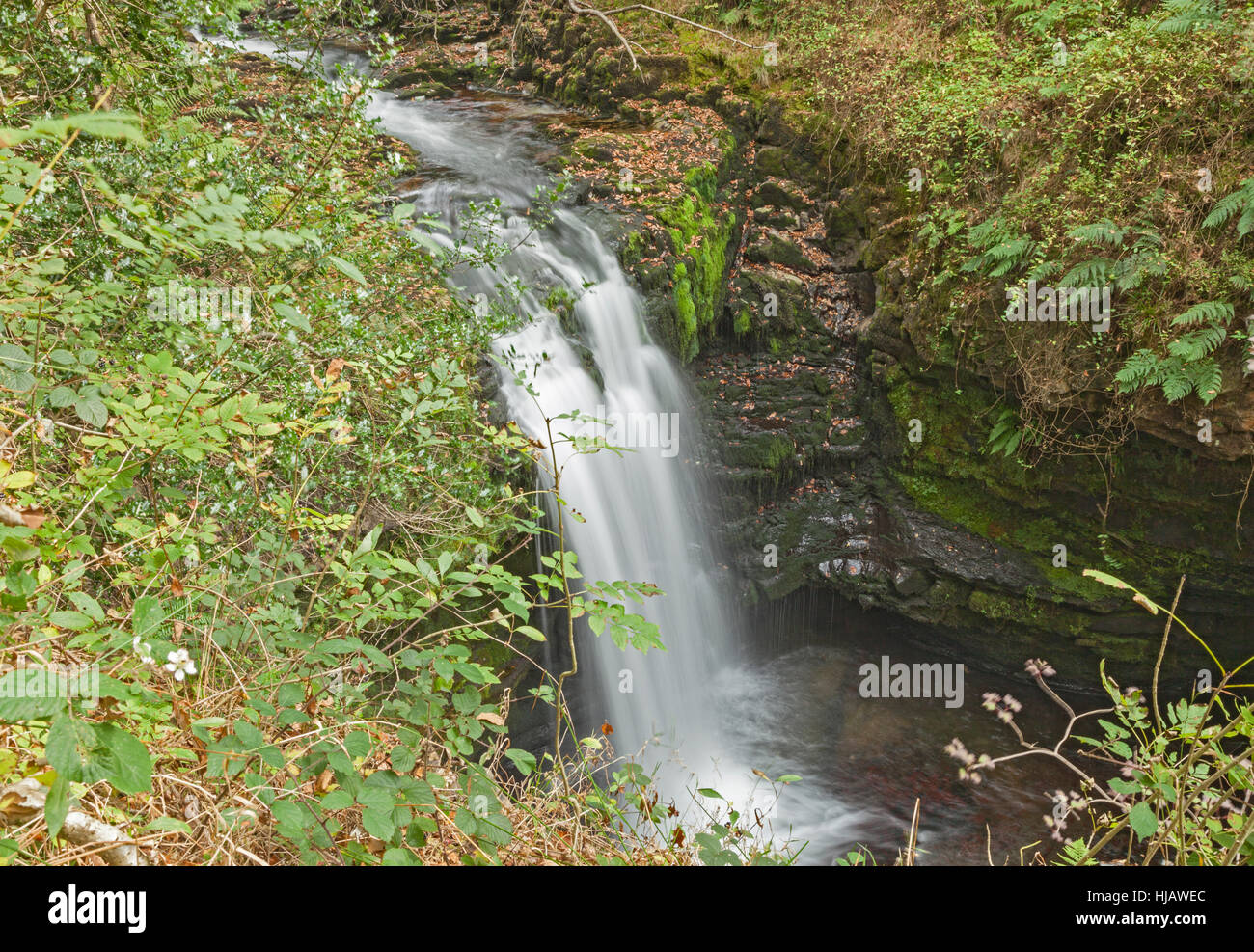 Sgwd Ddwli Isaf (untere sprudelnde Wasserfälle) am Fluss Nedd Fechan zwischen Pont Melin-Fach und Pontneddfechan, Brecon Beacons National Park, South Wales, UK Stockfoto