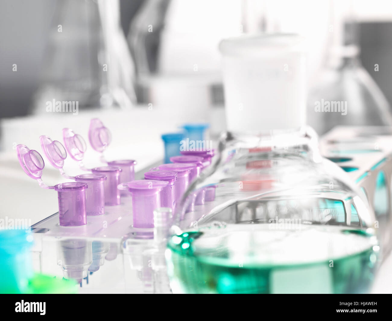 Mikrozentrifugenröhrchen warten auf Proben während eine analytische Tests im Labor Stockfoto
