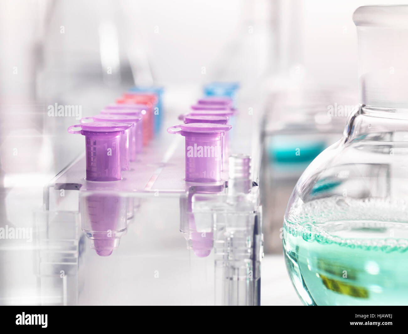 Mikrozentrifugenröhrchen warten auf Proben während eine analytische Tests im Labor Stockfoto