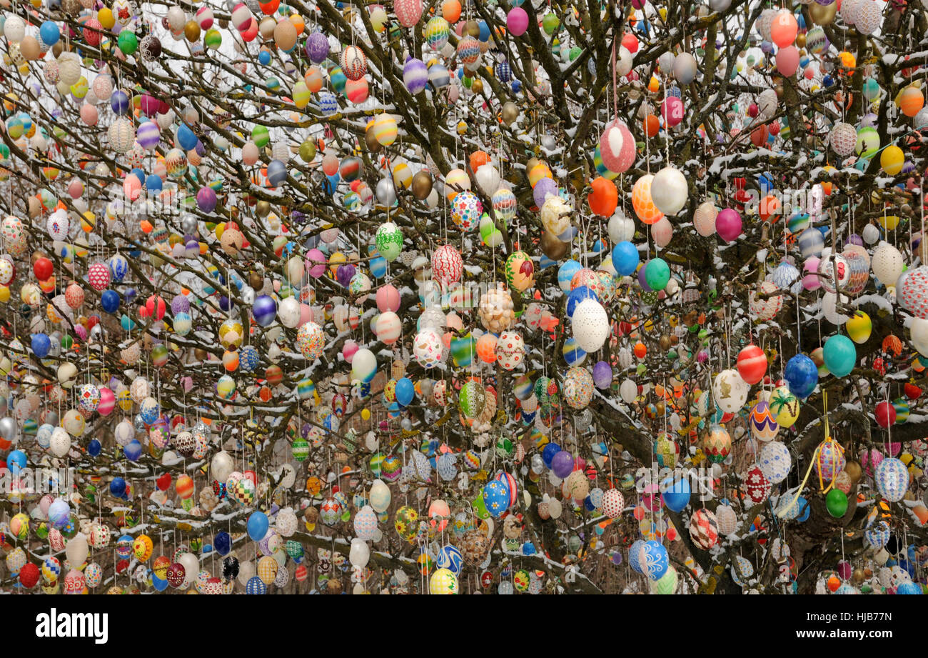 Ostern, Osterei, Ostereier, Baum, farbige, bunte, wunderschöne