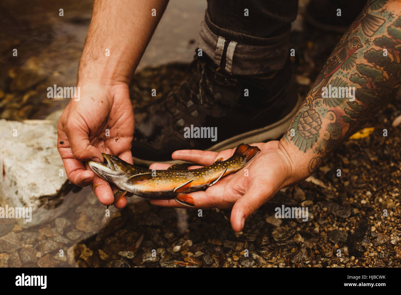 Hände der männlichen Wanderer halten Fische auf River Bank, Mineral King, Sequoia Nationalpark, Kalifornien, USA Stockfoto