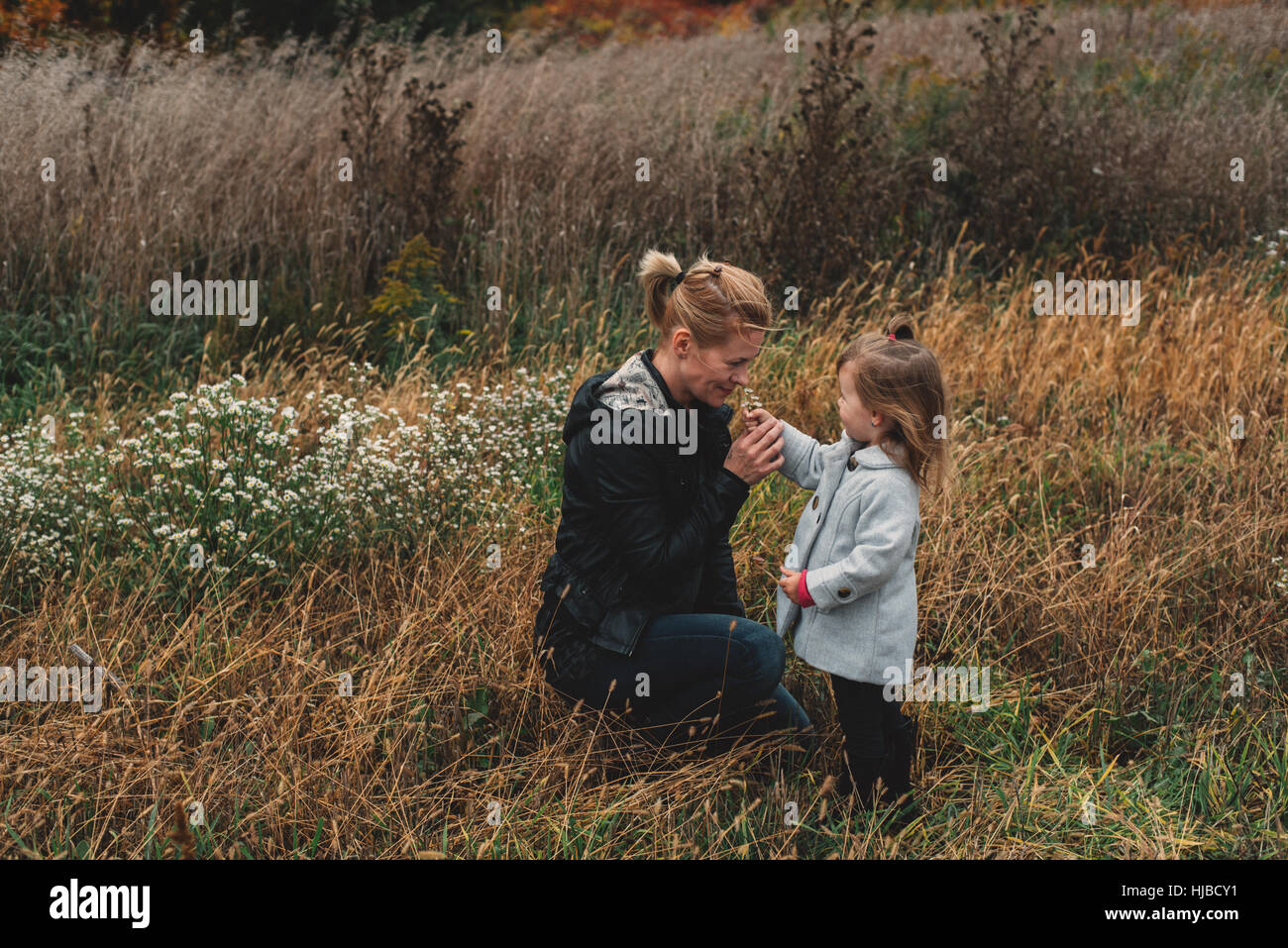 Mitte Erwachsene Frau duftende Wildblumen mit Kleinkind Tochter im Feld lange Gras Stockfoto