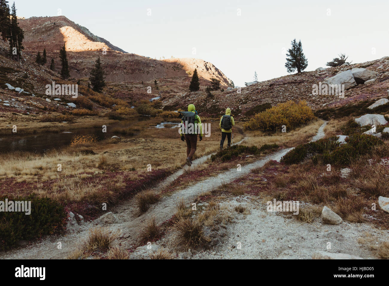 Rückansicht der beiden männlichen Wanderer Wandern, zerklüftete Landschaft, Mineral King, Sequoia Nationalpark, Kalifornien, USA Stockfoto