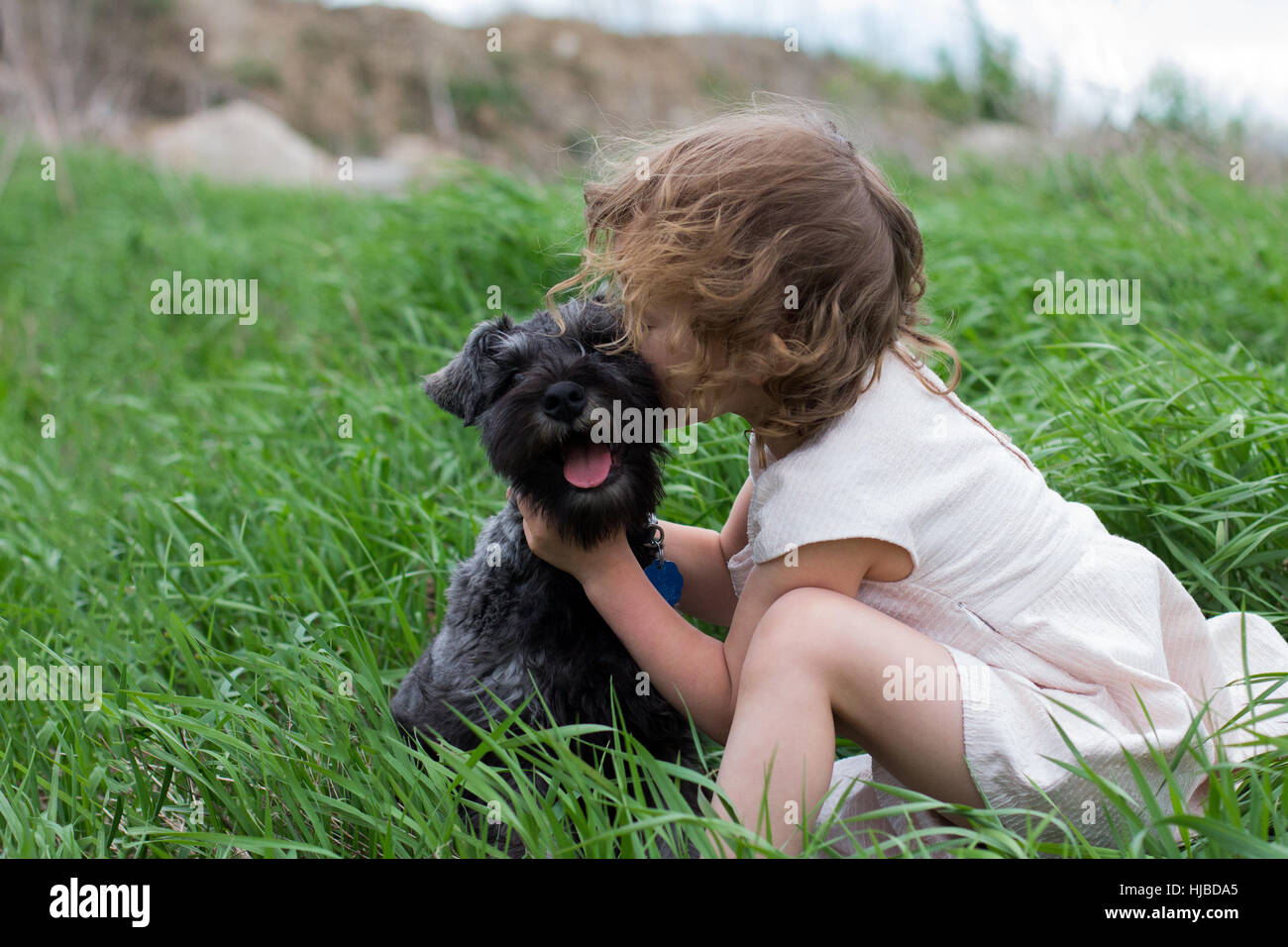 Kleines Mädchen küssen Hund auf Wiese Stockfoto