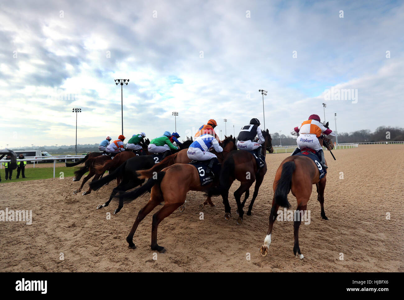 Läufer und Reiter machten sich in 10 kostenlos bei 32Red.com Handicap in Wolverhampton Racecourse. PRESSEVERBAND Foto. Bild Datum: Montag, 23. Januar 2017. Bildnachweis sollte lauten: David Davies/PA Wire Stockfoto
