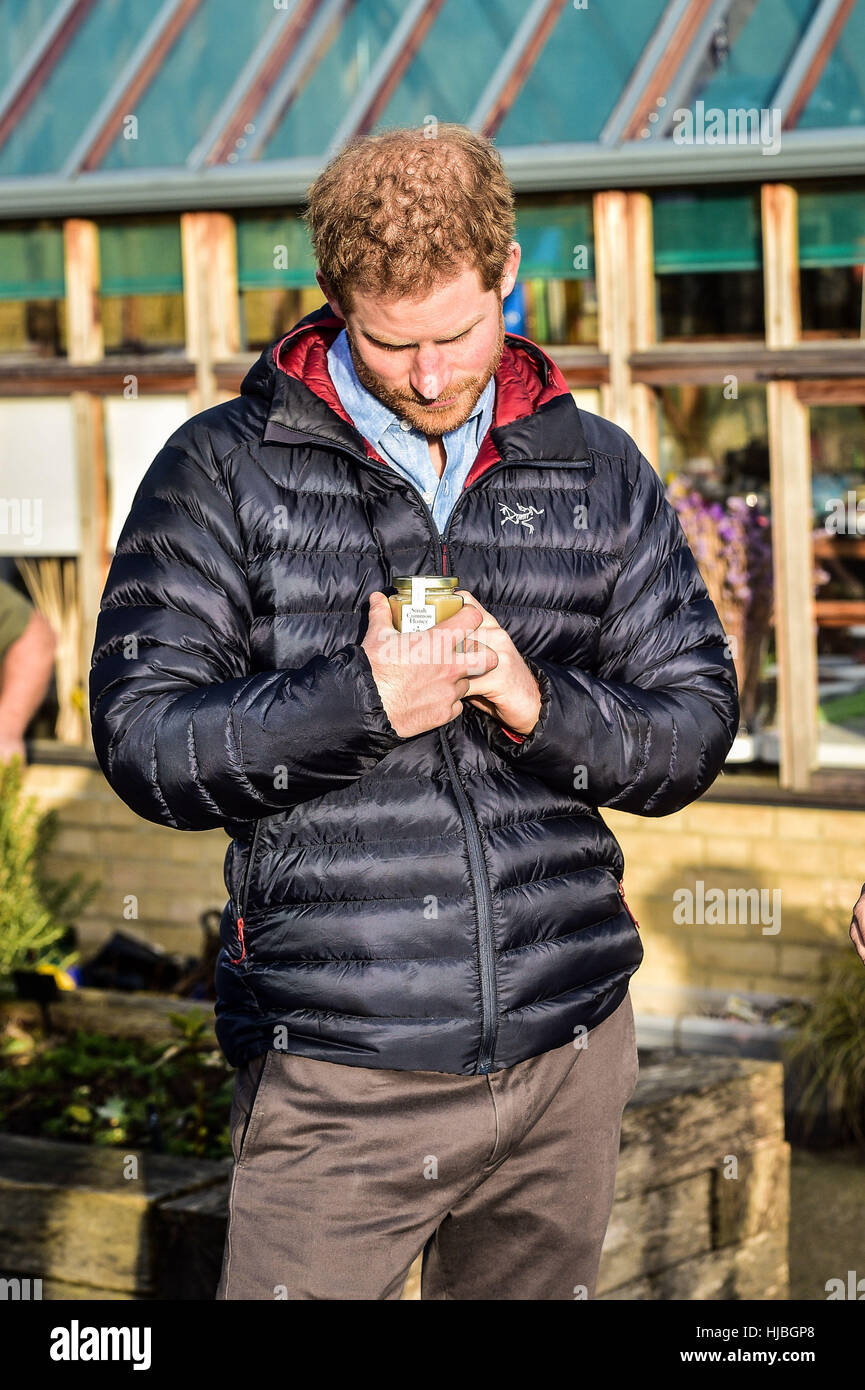 Prinz Harry blickt auf einen Topf Sinah gemeinsamen Honig Biene Landwirt John Geden (nicht abgebildet) während eines Besuchs in eine Hilfe für Helden Recovery Centre Tedworth House in Tidworth, Wiltshire, wo er mehr über die psychische Unterstützung gelernt, die Militärs im Ruhestand erhalten, die ihm gegeben. Stockfoto