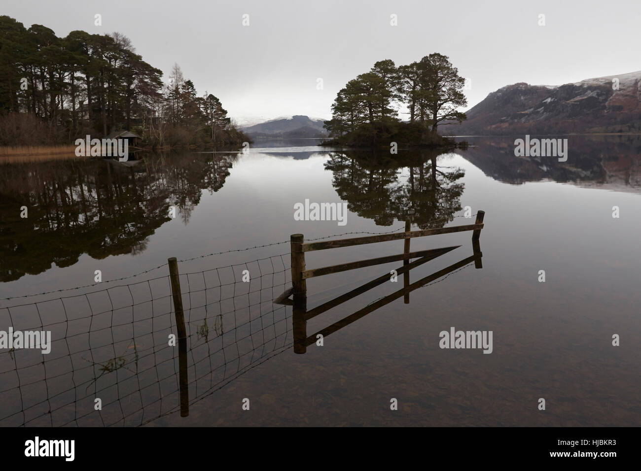 Berge, ein Zaun und Bäume in der ruhigen Oberfläche des Derwent Water wider, Keswick, Cumbria, Lake District, England Großbritannien Stockfoto