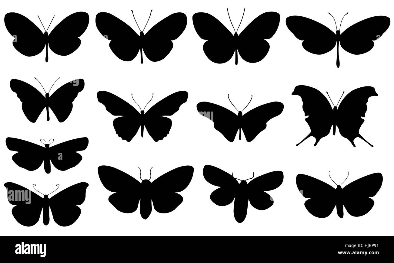 Satz von verschiedene Schmetterlinge isoliert Stockfoto