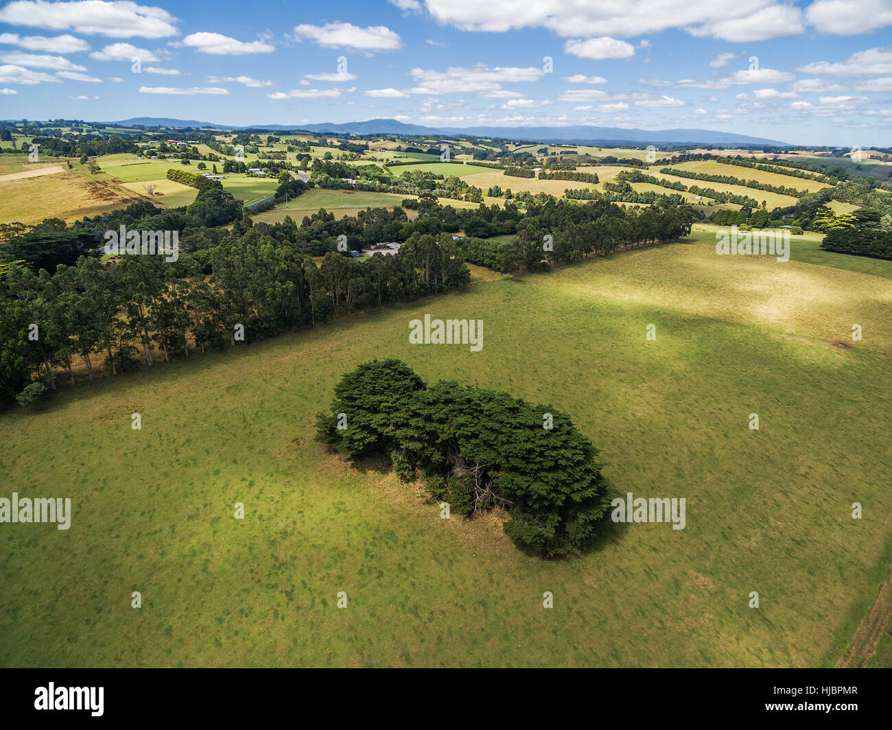 Grüne Felder aerial Landschaft Stockfoto