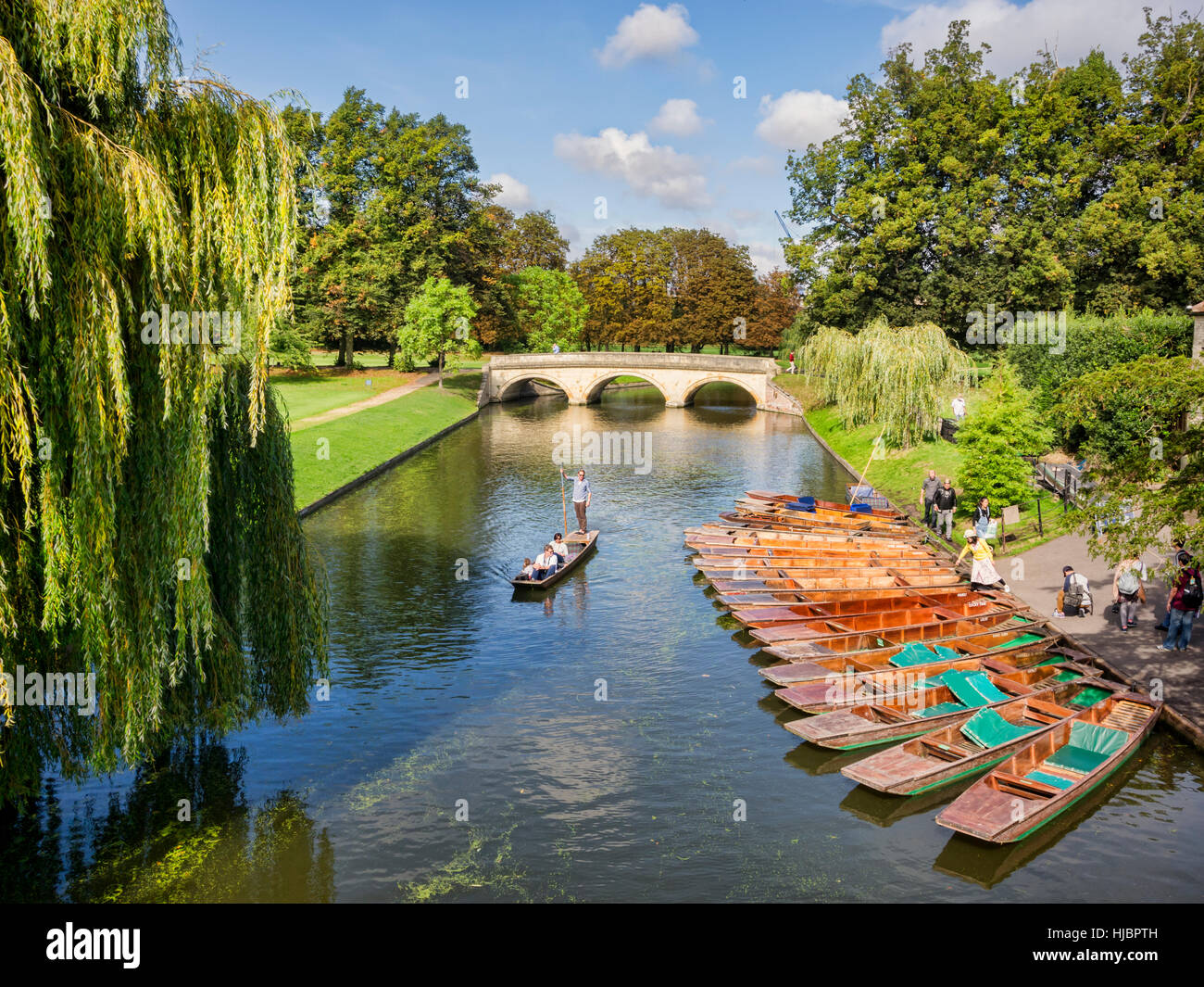 Puniting auf dem Fluss Cam, Cambridge, England, UK Stockfoto