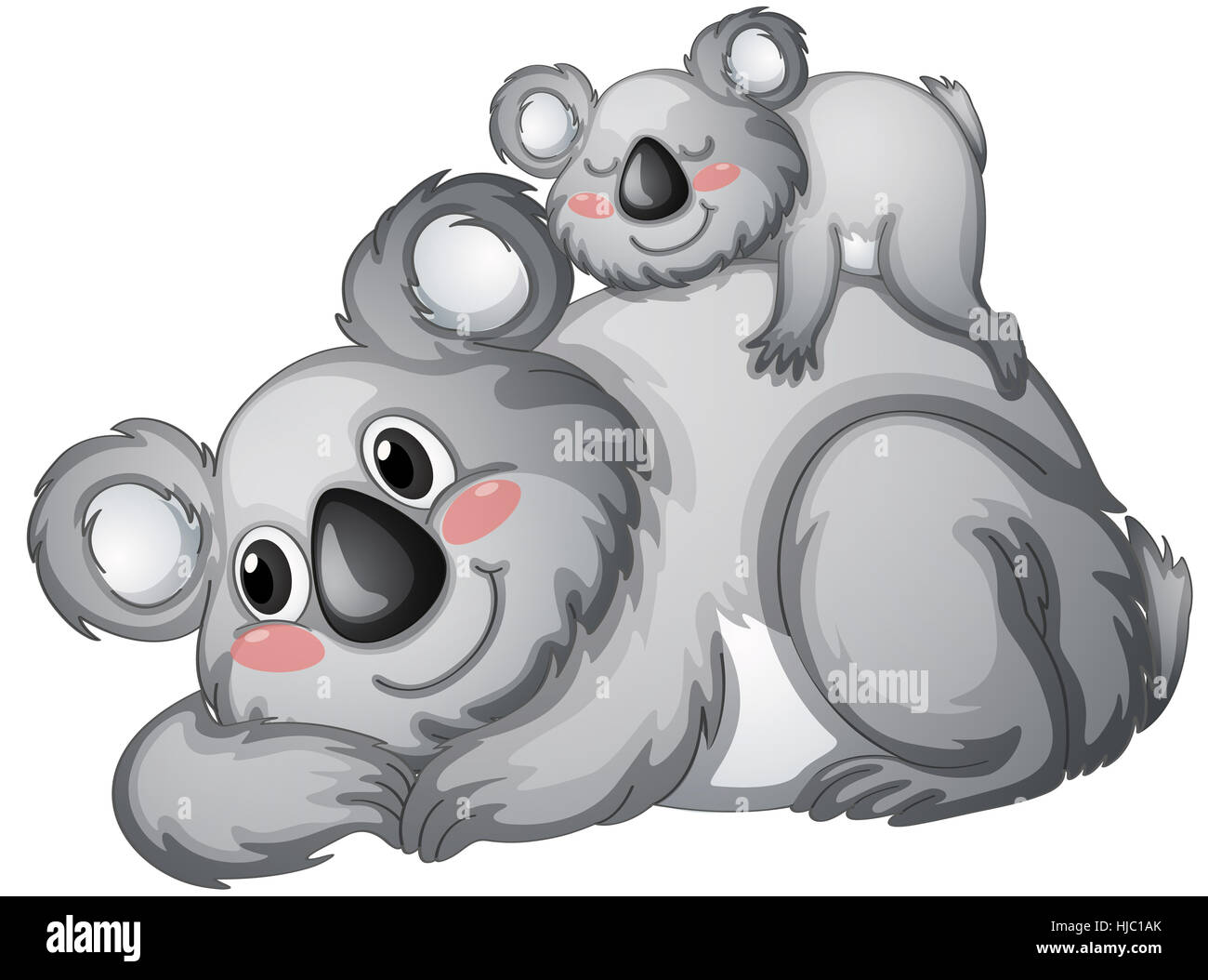 Objekt, einzeln, isoliert, Grafik, Tier, Säugetier, Bär, wild, kuscheln, Stockfoto