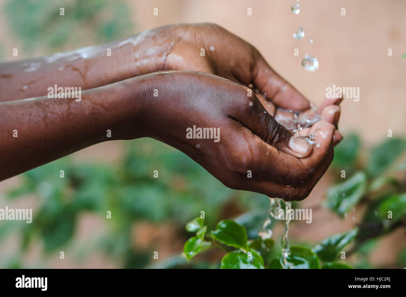Wasser-Klima-Änderung-Symbol: Handvoll Wasserknappheit für Kinder-Symbol. Händen Cupped unter fließendem Wasser für ein afrikanisches Mädchen zu sammeln. Es ist das l Stockfoto