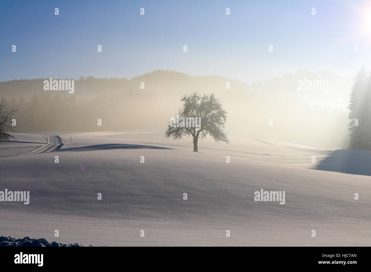Österreich, Landschaft im Winter, Schnee, blau, Himmel Stockfoto