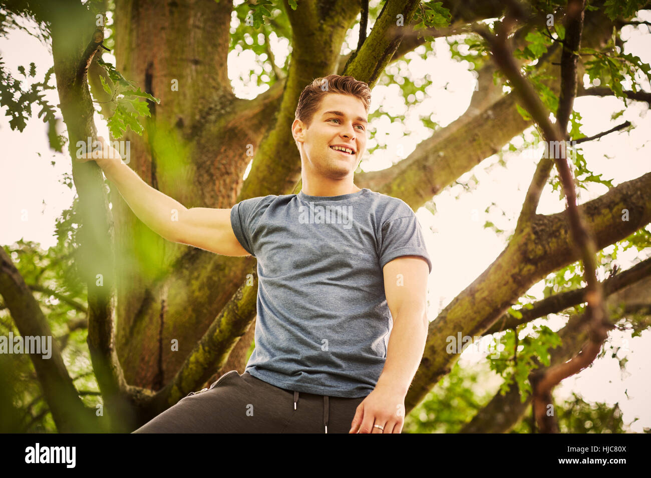 Mann im Park trainieren, eine Pause, während Baumklettern Stockfoto