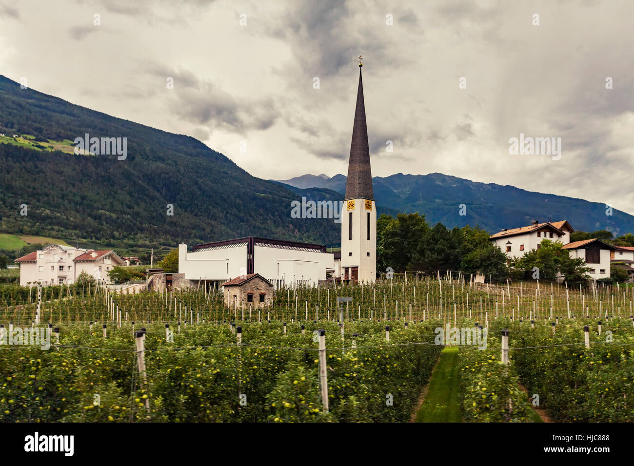 Kirche und Obstgärten im Vinschgau-Tal, Südtirol, Italien Stockfoto