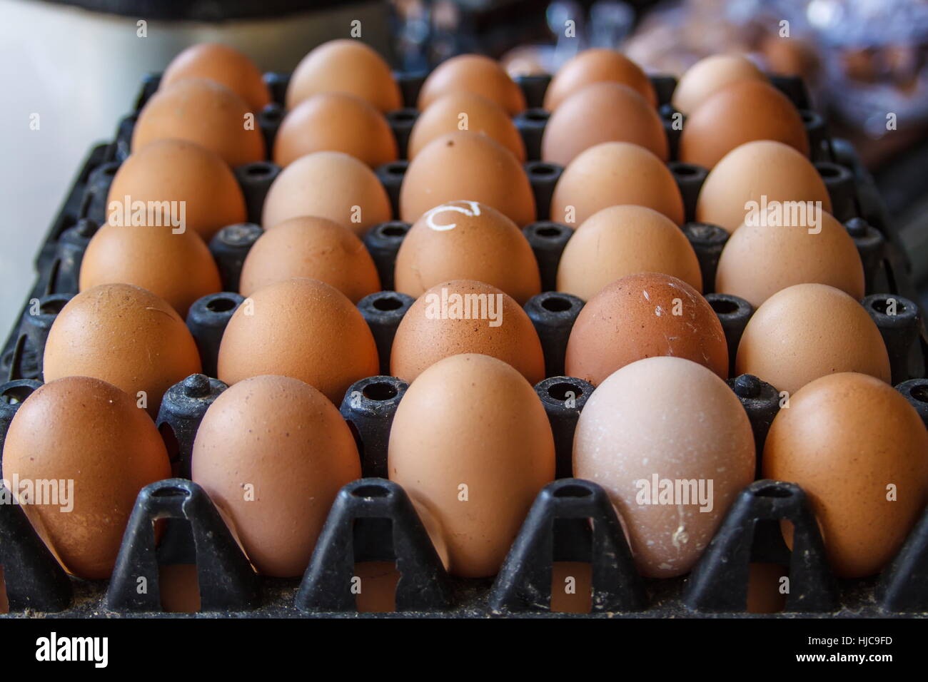 Closeup viele frische braune Eier im Karton-tray Stockfoto