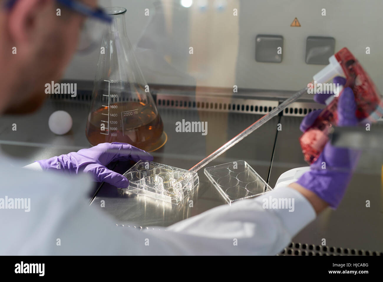 Wissenschaftler im Labor unter Verwendung elektronische Pipette und multiwell plate Stockfoto