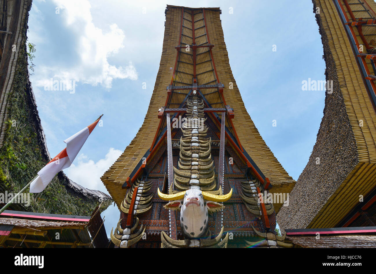 Tongkonan traditionelle Häuser in Tana Toraja, Sulawesi, Indonesien Stockfoto