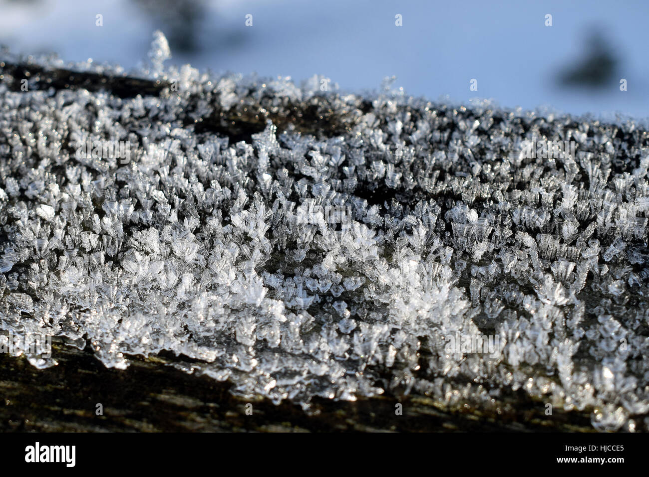 Eiskristalle auf Holz. Stockfoto