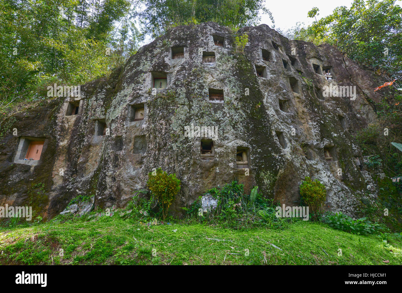 Galerien von Tau-Tau bewachen die Gräber. LEMO ist Klippen alte Grabstätte in Tana Toraja, Sulawesi, Indonesien. Stockfoto