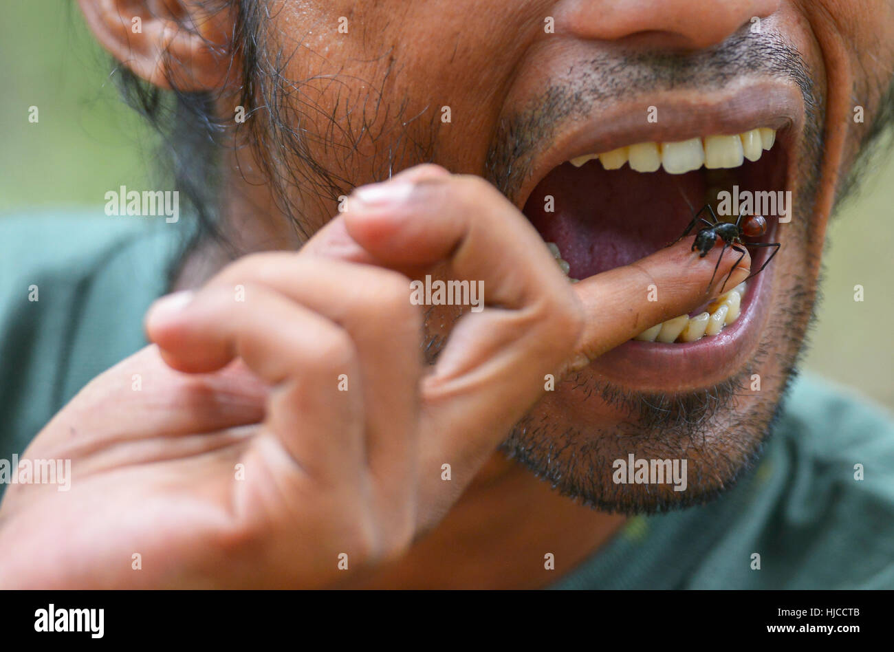 Bukit Lawang, Sumatra, Indonesien: Ein unbekannter Mann mit einer Ameise an seinem Finger am 23. August 2016 in Bukit Lawang, Sumatra. Stockfoto