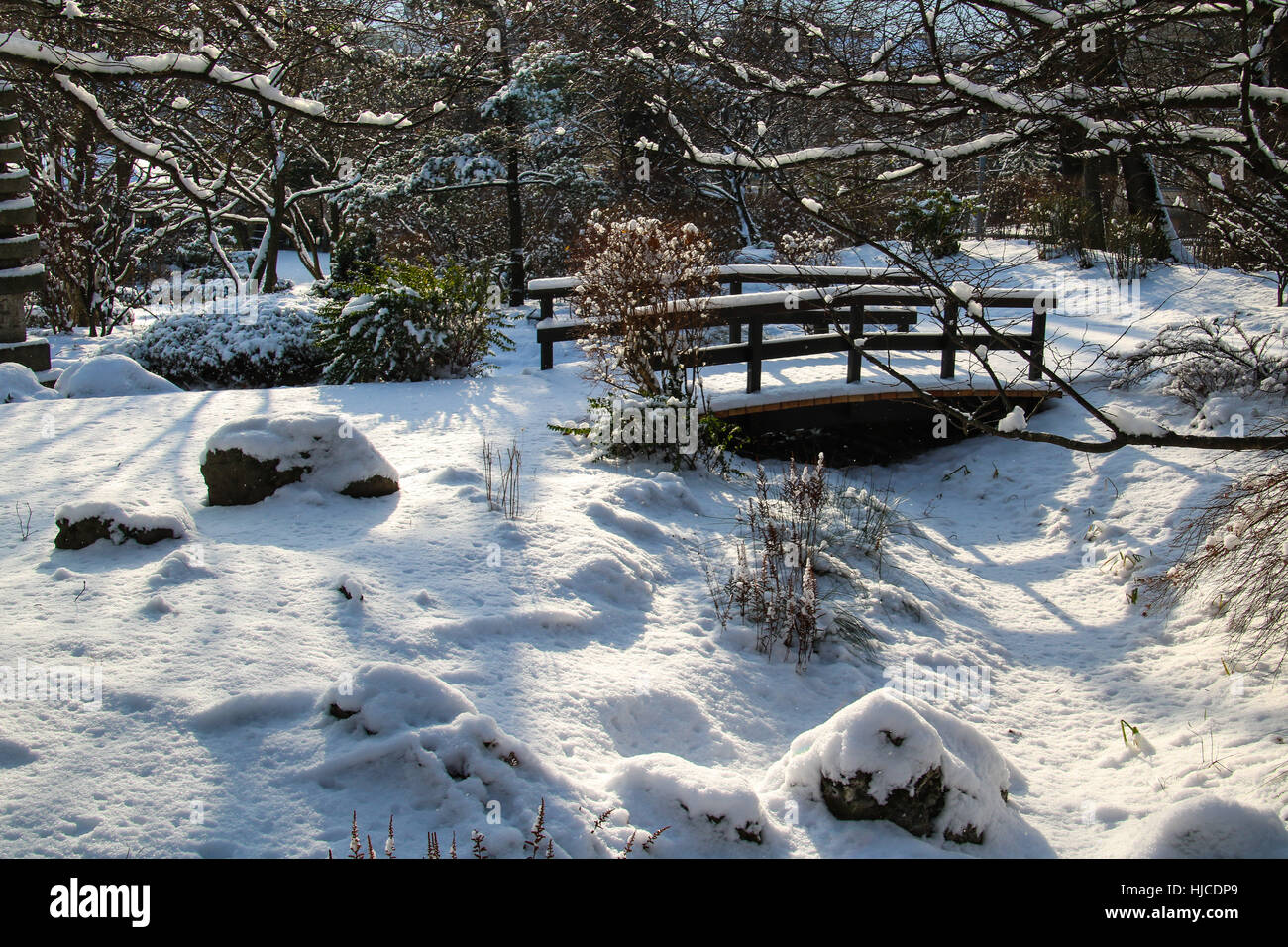 Setagaya Park Vienna ein japanischer Garten im winter