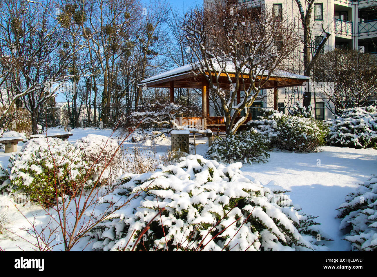 Setagaya Park Vienna ein japanischer Garten im winter