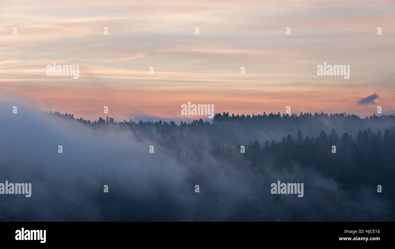 Nebel im Morgengrauen in die Berge von Bieszczady Stockfoto