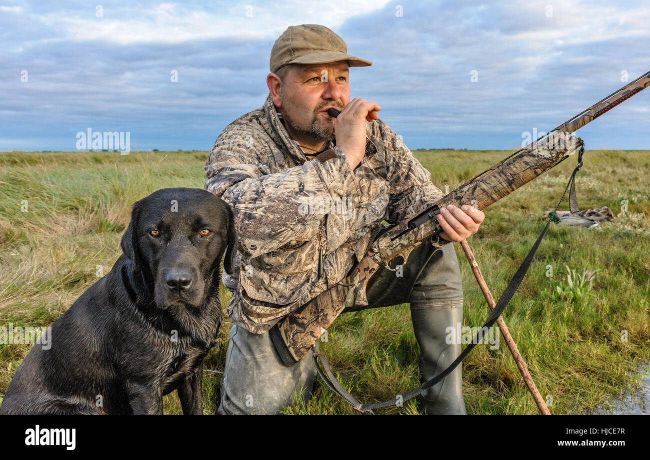 Ein Wildfowler oder Ente Jäger mit seinem Hund auf die Lincolnshire Marsh bläst in eine Ente-Aufruf Stockfoto