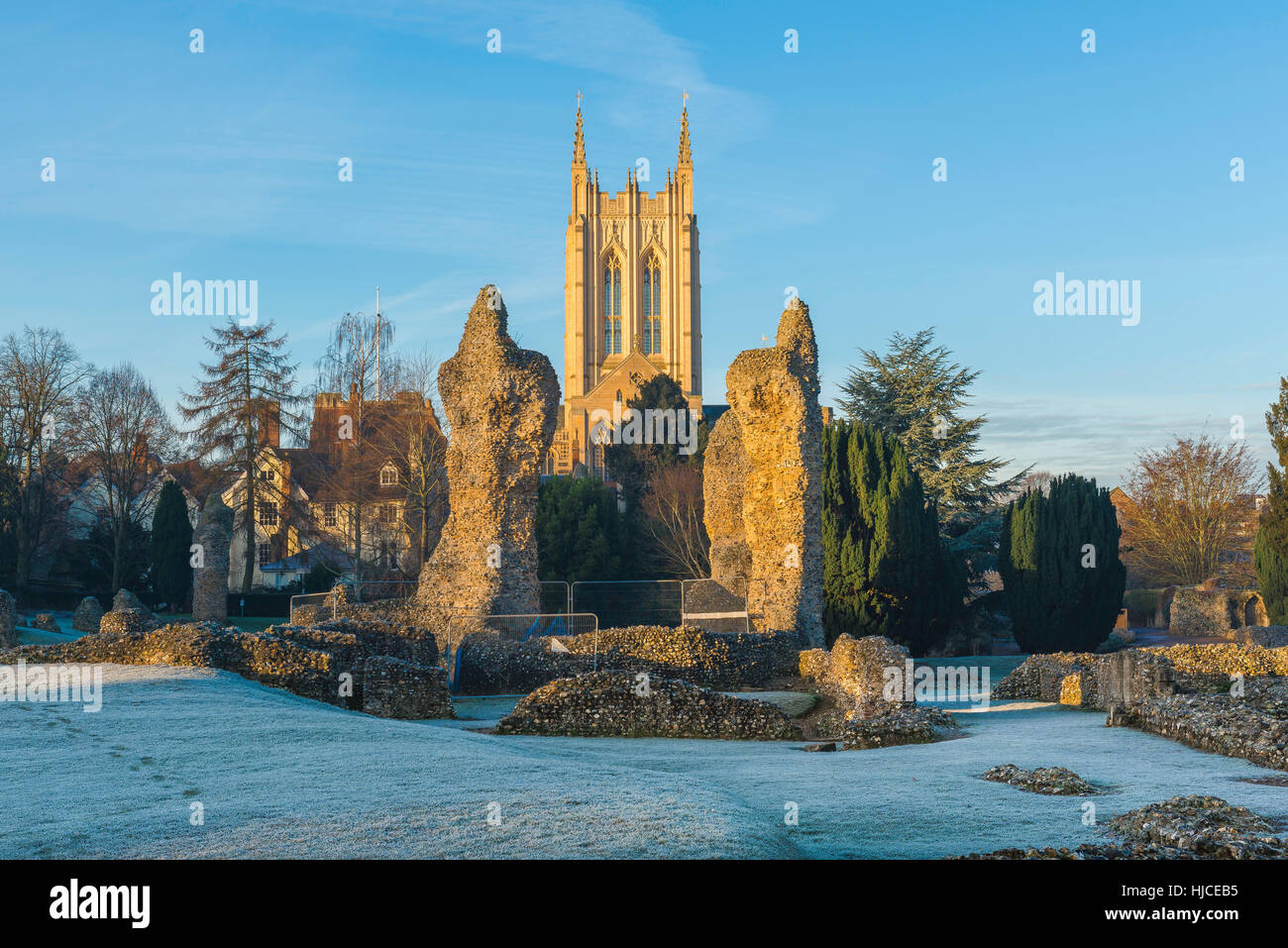 Bury St. Edmunds Abbey Winter, die Ruinen der mittelalterlichen Abtei in Bury St. Edmunds Abbey Gardens, mit St. Edmundsbury Kathedrale im Hintergrund. Stockfoto