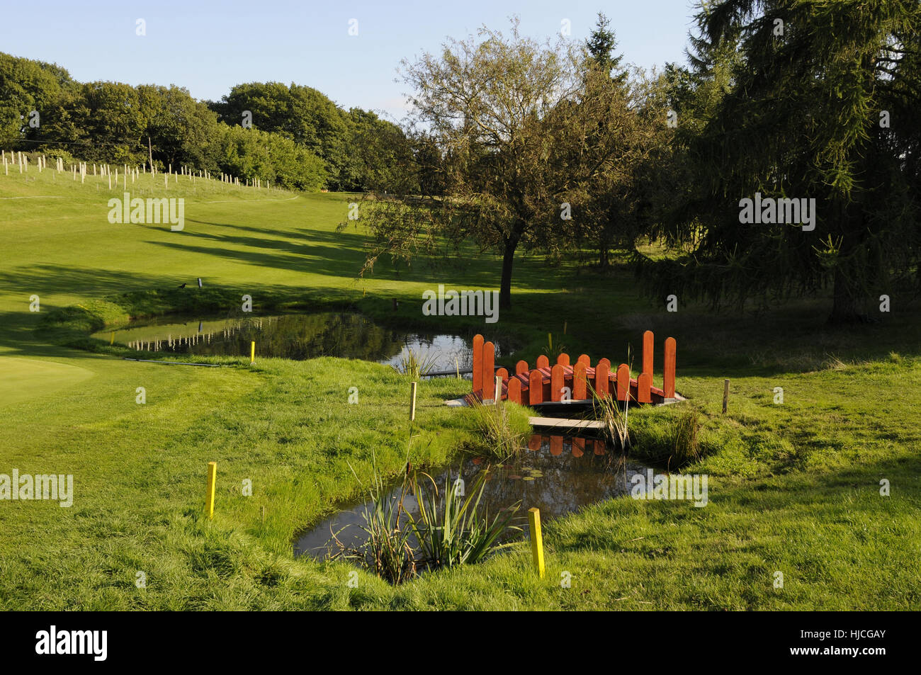 Blick hinunter auf kleinen Teich neben 8. Grün zurück in Richtung t-Stück, Cherry Lodge Golf Club, Biggin Hill, Kent, England Stockfoto