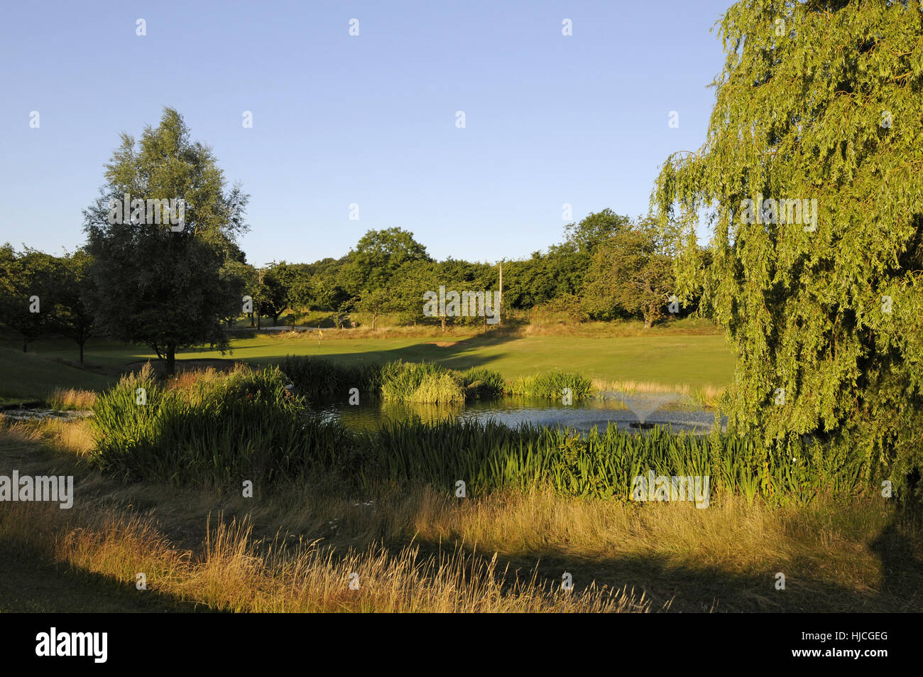 Blick nach unten über Teich 18. Green und Fairway, Cherry Lodge Golf Club, Biggin Hill, Kent, England Stockfoto