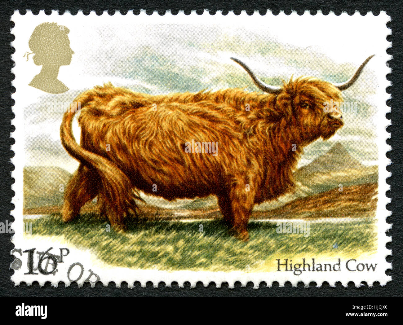 Großbritannien - ca. 1983: Eine gebrauchte Briefmarke aus dem Vereinigten Königreich, zeigt ein Beispiel für eine Highland-Kuh, ca. 1983. Stockfoto