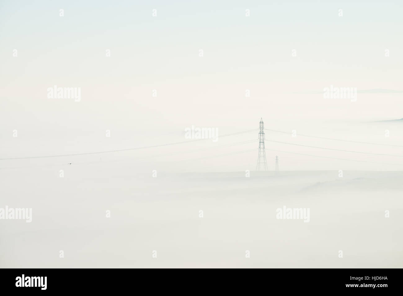 Nebligen Morgen um Hardy Monument, in der Nähe von Dorchester, Dorset, UK. 23. Januar 2017. Ein nebliger Start in den Tag in Dorset mit Pylonen im Nebel. © Dan Tucker/Alamy Live-Nachrichten Stockfoto