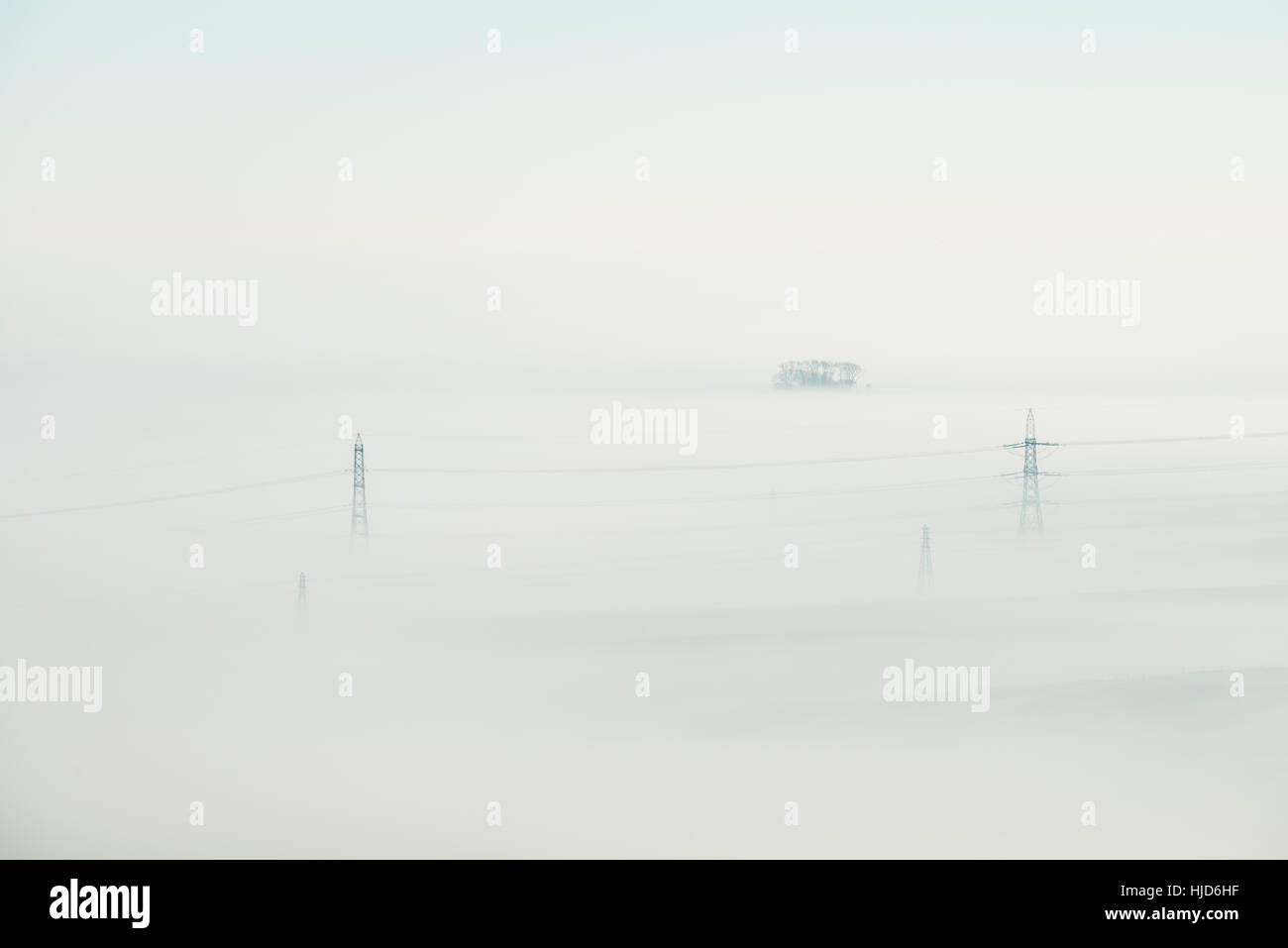 Nebligen Morgen um Hardy Monument, in der Nähe von Dorchester, Dorset, UK. 23. Januar 2017. Ein nebliger Start in den Tag in Dorset mit Pylonen im Nebel. © Dan Tucker/Alamy Live-Nachrichten Stockfoto