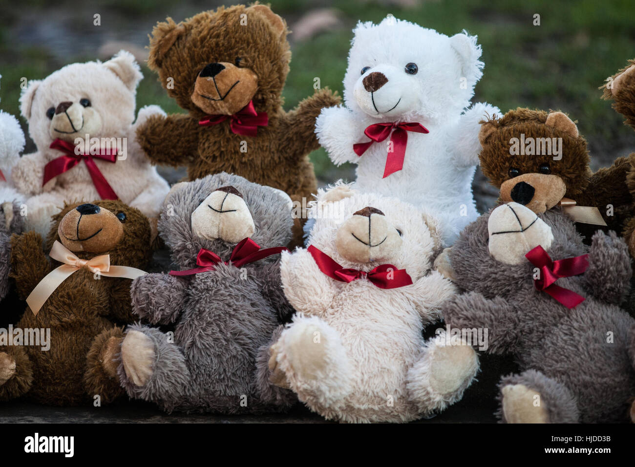 London, UK. 24. Januar 2017. Zwanzig Teddybären vor dem Parlament von Claire Throssell und erste Kind Kinder symbolisieren, die durch unsichere Kontakt mit einem gewalttätigen Elternteil gestorben sind angezeigt. Erste Kind fordert ein Ende unsichere Kind Kontakt mit gefährlichen Tätern häuslicher Gewalt durch das Familiengericht Prozess. Bildnachweis: Mark Kerrison/Alamy Live-Nachrichten Stockfoto