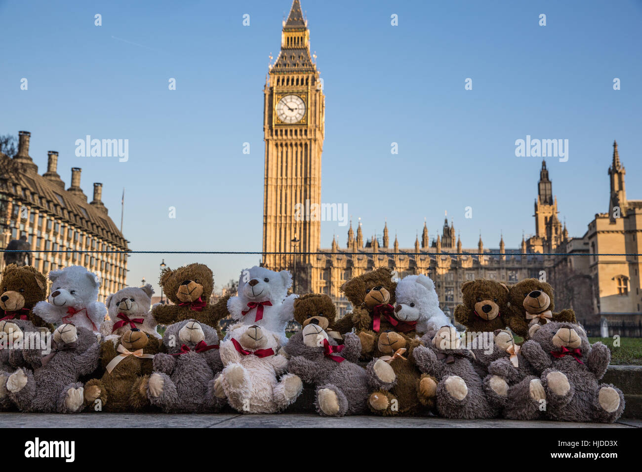 London, UK. 24. Januar 2017. Zwanzig Teddybären vor dem Parlament von Claire Throssell und erste Kind Kinder symbolisieren, die durch unsichere Kontakt mit einem gewalttätigen Elternteil gestorben sind angezeigt. Erste Kind fordert ein Ende unsichere Kind Kontakt mit gefährlichen Tätern häuslicher Gewalt durch das Familiengericht Prozess. Bildnachweis: Mark Kerrison/Alamy Live-Nachrichten Stockfoto