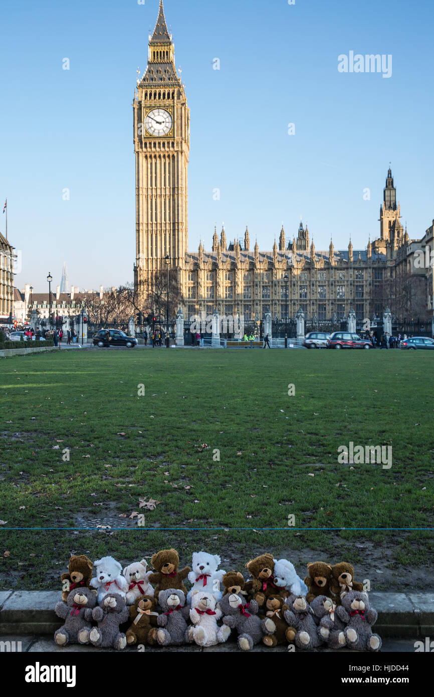 London, UK. 24. Januar 2017. Zwanzig Teddybären vor dem Parlament von Claire Throssell und erste Kind Kinder symbolisieren, die durch unsichere Kontakt mit einem gewalttätigen Elternteil gestorben sind angezeigt. Erste Kind fordert ein Ende unsichere Kind Kontakt mit gefährlichen Tätern häuslicher Gewalt durch das Familiengericht Prozess. Bildnachweis: Mark Kerrison/Alamy Live-Nachrichten Stockfoto