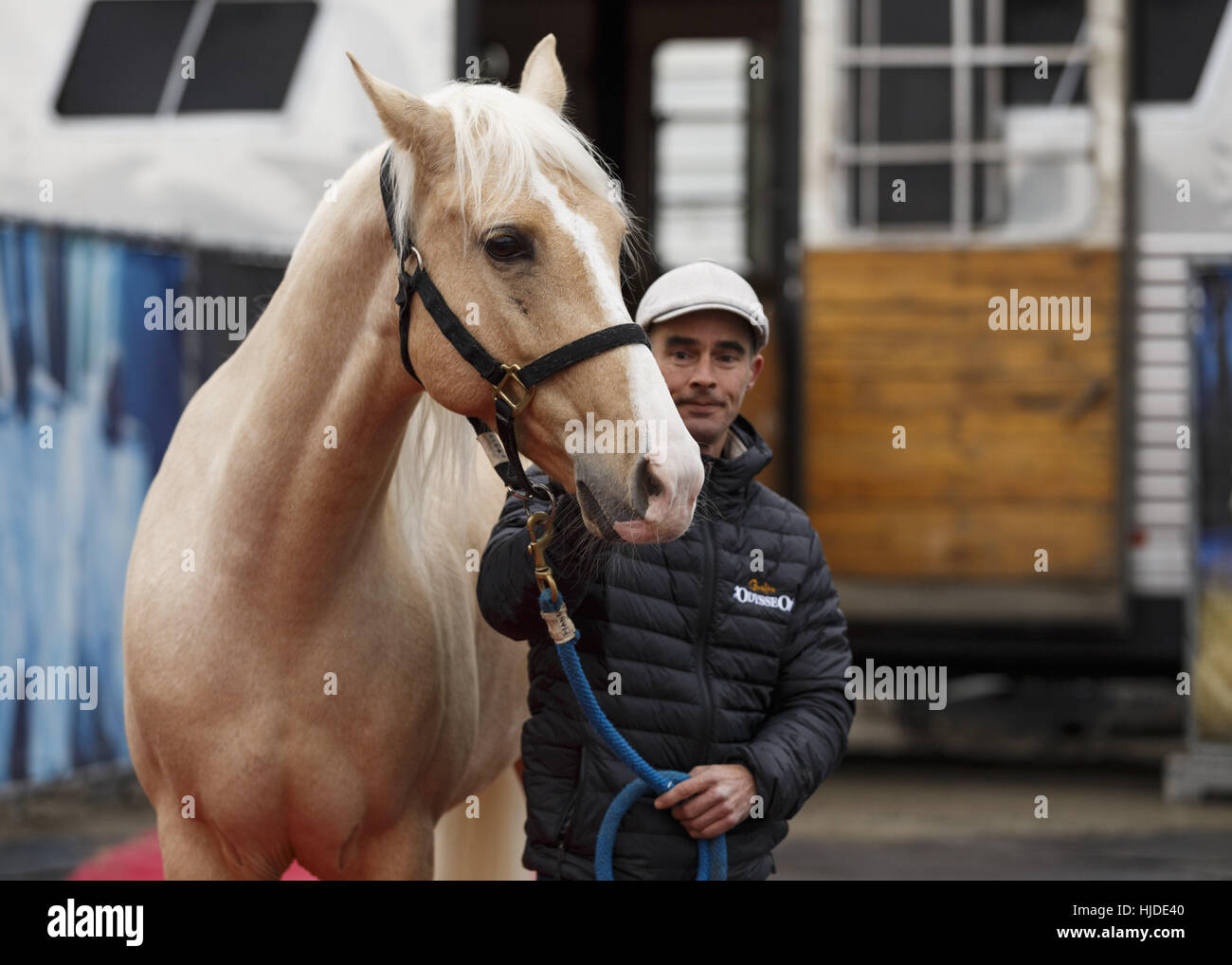 Vancouver, Kanada. 24. Januar 2017. Die 65 Pferde für die touring equestrian Arts Group, Cavalia Ankunft in Vancouver aus Los Angeles, nachdem er 15 Tage in Quarantäne zu Bundesregierung Regelungen zu treffen. Die kanadische Premiere von Cavalia Odysseo öffnet am 31. Januar 2017 in Vancouver, BC, Kanada. Bildnachweis: Andrew Kinn/ZUMA Wire/ZUMAPRESS.com/Alamy Live-Nachrichten Stockfoto